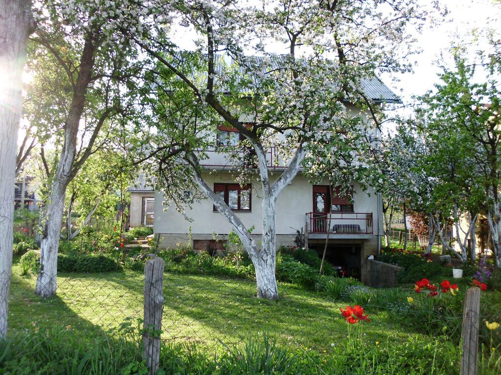 Guest House Krga Korenica Buitenkant foto